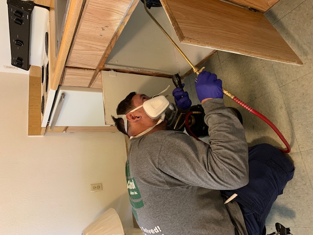 PCSI technician treating spider harborage points on a Las Vegas home